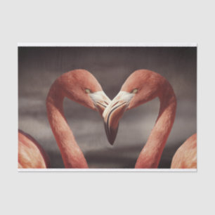 Schönes rosa Flamingo-Zinnpapier Seidenpapier