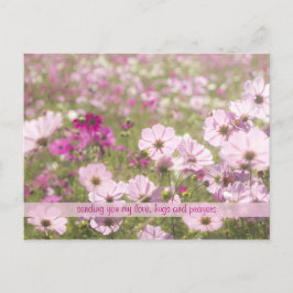 Schönes rosa Fuchsia Cosmos Blume Field Sunlight Postkarte