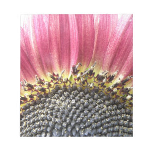 Schönes rosa Sonnenblumen Notepad Notizblock