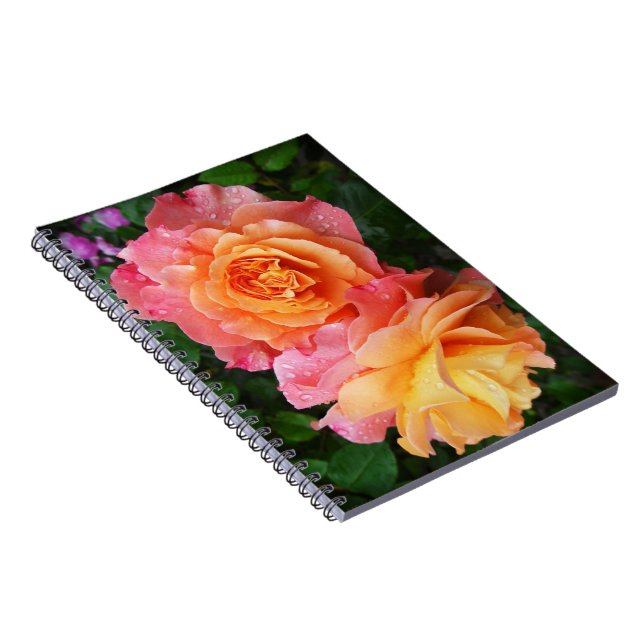 Schönes rosa und orange Rose Foto Notizblock (Rechte Seite)