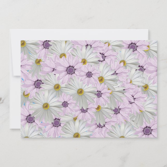 Schönes Rosa und Weiße Daisy Blumengrüße Karte (Vorderseite)