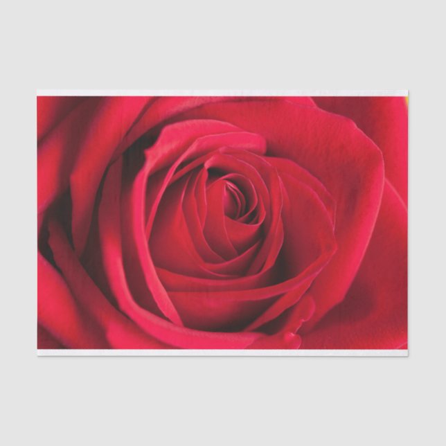 Schönes Rosen-Blumen-Seidenpapier Seidenpapier (Vorderseite)