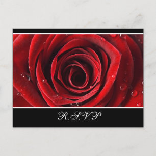 Schönes Rosen-Hochzeit UAWG - Schwarzes Einladungspostkarte
