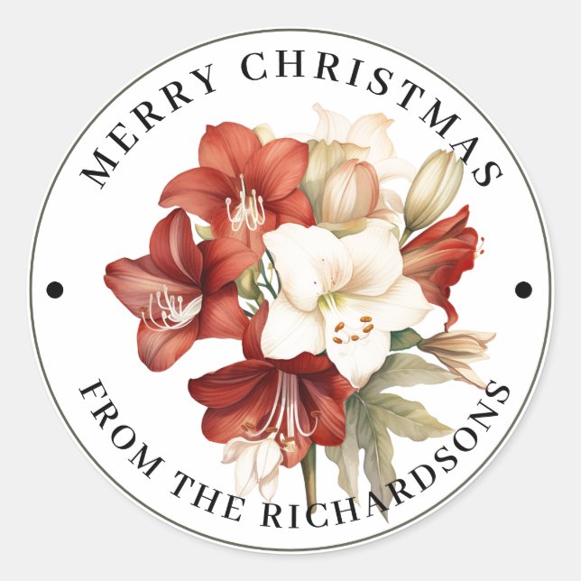 Schönes Rot & Weiß Amaryllis Frohe Weihnachten Runder Aufkleber (Vorderseite)