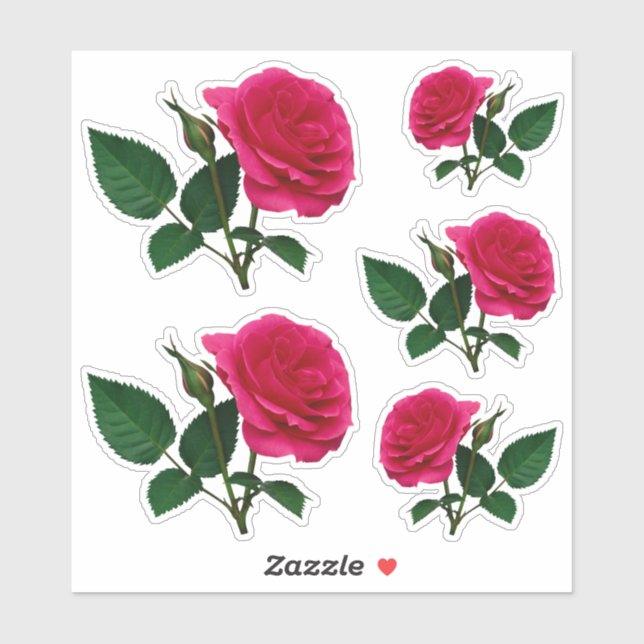 Schönes rote Rose Foto Transparent CC1145 Aufkleber (Blatt)
