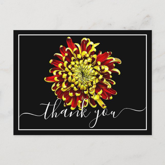 Schönes rotes und gelbes Chrysanthemum Vielen Dank Postkarte (Vorderseite)