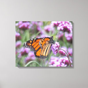 Schönes Schmetterling in violetten Blumen Leinwanddruck