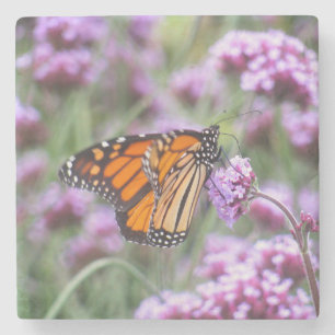 Schönes Schmetterling in violetten Blumen Steinuntersetzer