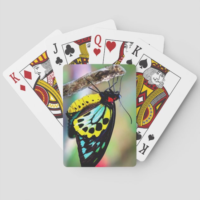 Schönes Schmetterlingsdeck beim Kartenspielen Spielkarten (Rückseite)