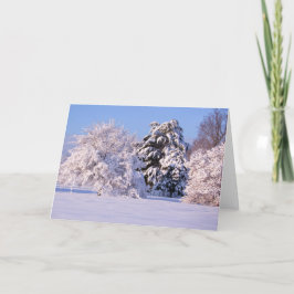Schönes Schnee-Szenen-Foto Karte