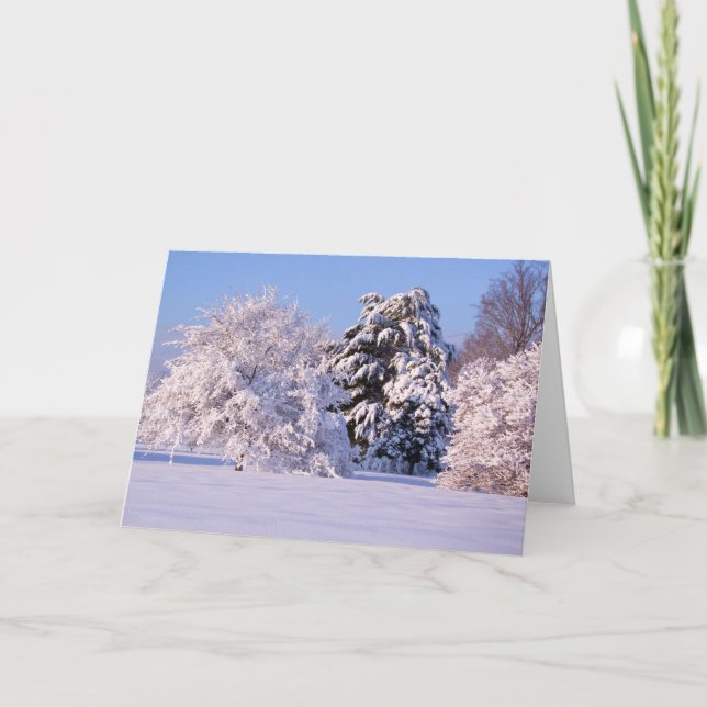 Schönes Schnee-Szenen-Foto Karte (Vorderseite)