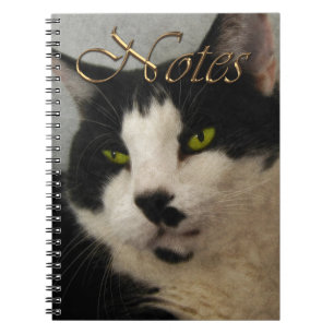 Schönes Schwarz-Weiß Cat Art Portrait Notizblock