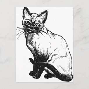 Schönes Schwarz-Weiß-Kunstwerk - Siameskatze Postkarte