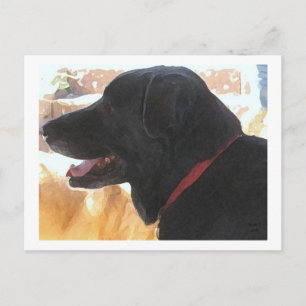 Schönes Schwarzes Labor-Portrait - Ranch Dog Lover Postkarte
