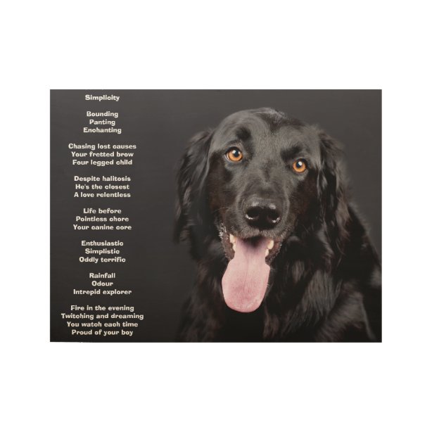 Gedicht Hund Poster Zazzle.ch