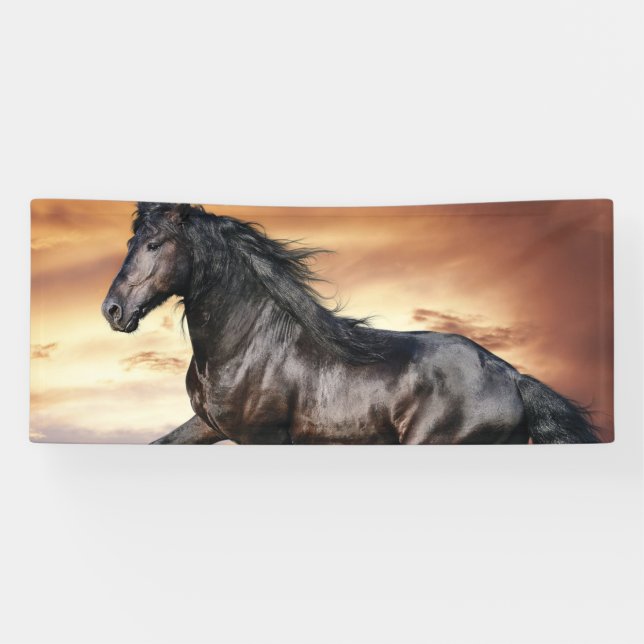 Schönes Schwarzes Pferd Banner (Horizontal)