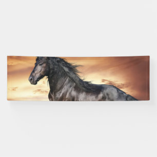 Schönes Schwarzes Pferd Banner