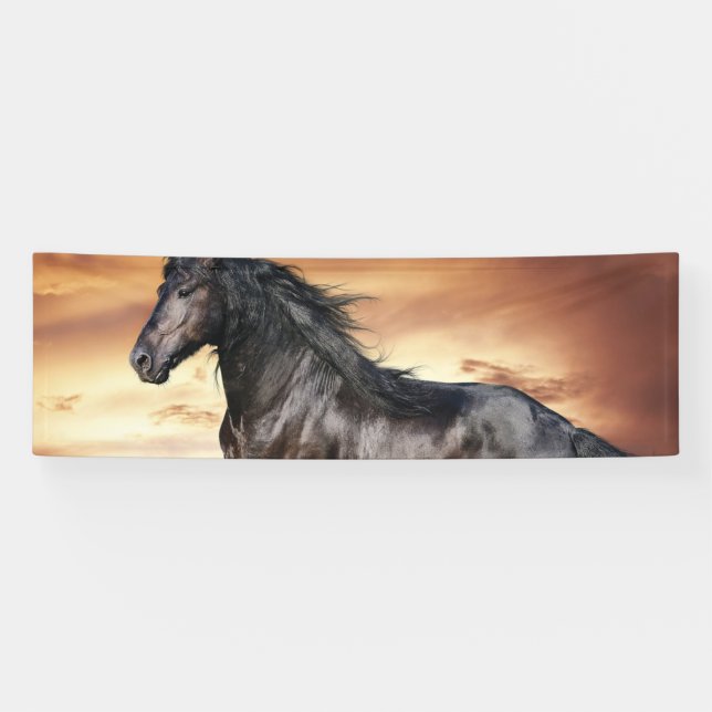 Schönes Schwarzes Pferd Banner (Horizontal)