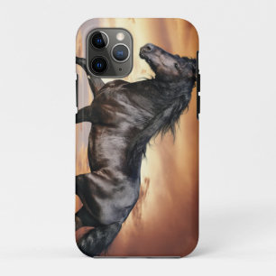 Schönes Schwarzes Pferd Case-Mate iPhone Hülle