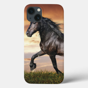 Schönes Schwarzes Pferd Case-Mate iPhone Hülle