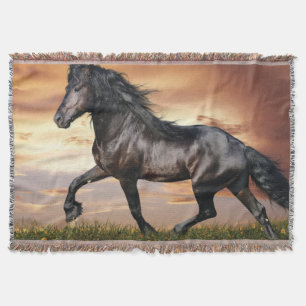 Schönes Schwarzes Pferd Decke