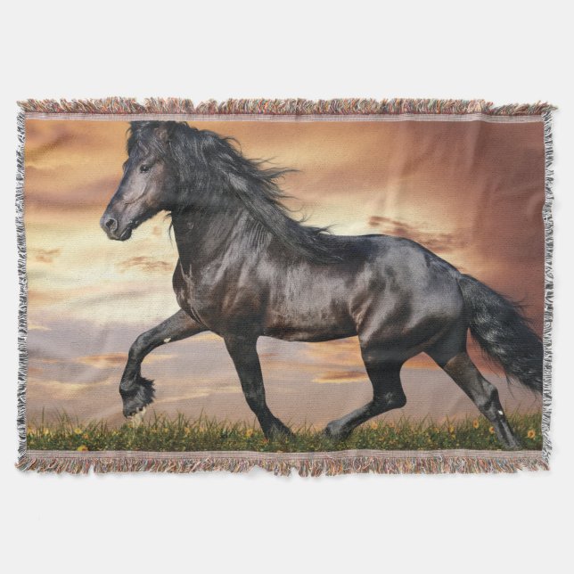 Schönes Schwarzes Pferd Decke (Vorderseite)