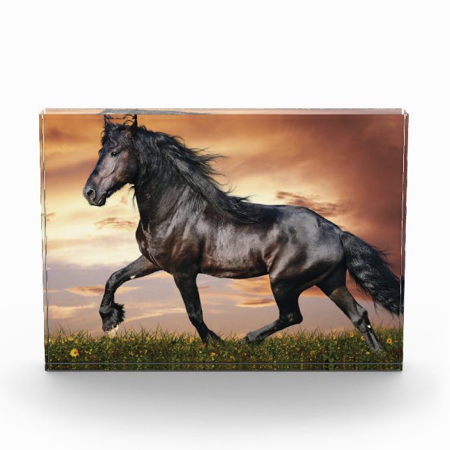 Schönes Schwarzes Pferd Fotoblock (Vorderseite)