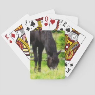 Schönes Schwarzes Pferd Grazing Spielkarten