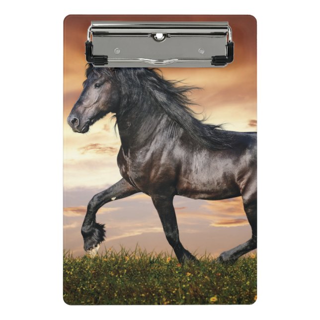 Schönes Schwarzes Pferd Mini Klemmbrett (Vorderseite)