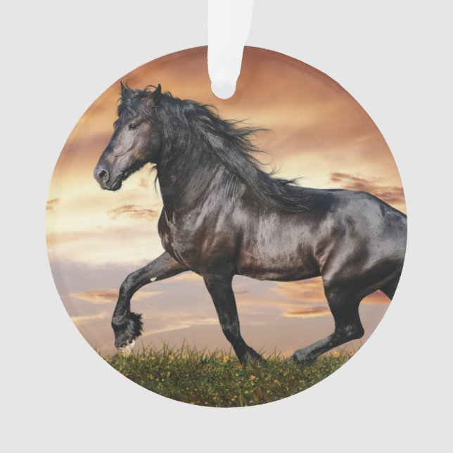 Schönes Schwarzes Pferd Ornament (Vorderseite)