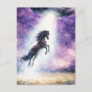Schönes schwarzes Pferd und UFO Postkarte