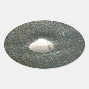 Schönes Seashell im Sand: Ein Salty Souvenir Ovaler Aufkleber