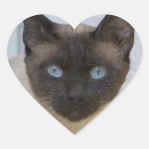 Schönes Siegel Point Siamese Katze Herz-Aufkleber
