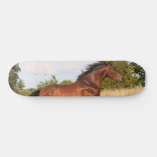 Schönes Skateboard für Pferde