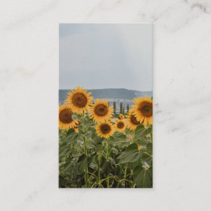 Schönes Sonnenblumenfeld Natur Ästhetik Fotografie Visitenkarte