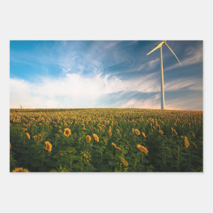schönes Sonnenfeld mit bewölktem blauen Himmel a Geschenkpapier Set