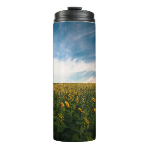 schönes Sonnenfeld mit bewölktem blauen Himmel a Thermosbecher