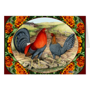 Schönes Spiel-Geflügel