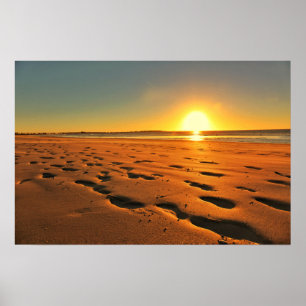 Schönes Strand-Sonnenuntergangs-Poster Poster