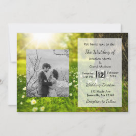 Schönes Sunlit Field Foto Hochzeitseinladungen Einladung