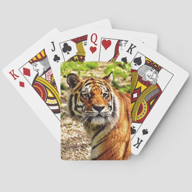 Schönes Tiger Deck Spielkarten (Rückseite)