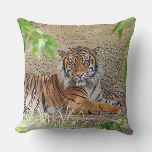 Schönes Tiger Kissen! Kissen (Vorderseite)