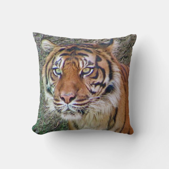 Schönes Tiger Kissen! Kissen (Vorderseite)