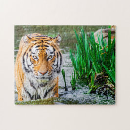 schönes Tiger-Puzzle