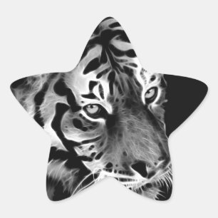 Schönes Tiger Schwarz-weißes Afrika Stern-Aufkleber