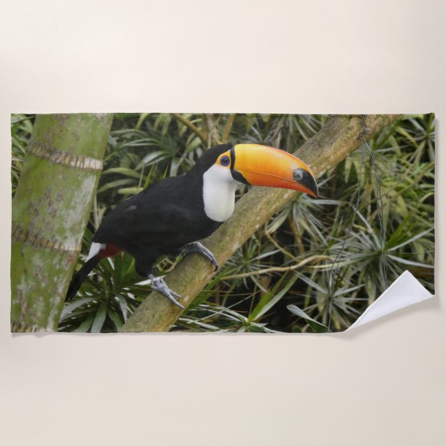 Schönes Toucan Beach Handtuch (Vorderseite)