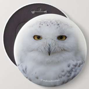 Schönes, traumhaftes und serenschneesicheres Owl Button