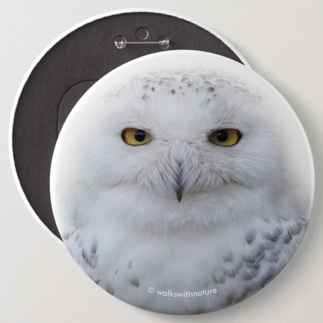 Schönes, traumhaftes und serenschneesicheres Owl Button (Vorne & Hinten)