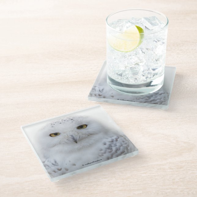 Schönes, traumhaftes und serenschneesicheres Owl Glasuntersetzer (Schrägansicht)