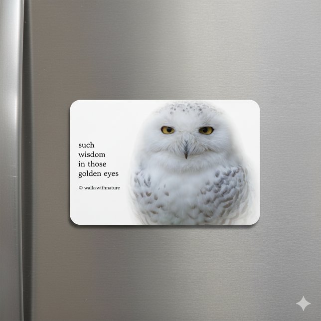 Schönes, traumhaftes und serenschneesicheres Owl Magnet (Snowy Owl Magnet on Fridge Cover Photo)